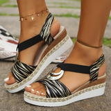 Klassisches Zebra